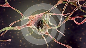 Neuron, brain cell, 3D illustration