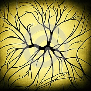 Neuron with branches, black on pale backdrop