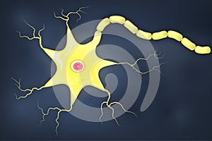 Neuron cell with axon illustration photo