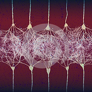 Neuron cells forming net