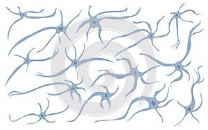 Neuron cells. Vector simple design illustartion