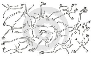 Neuron cells. Vector simple design illustartion