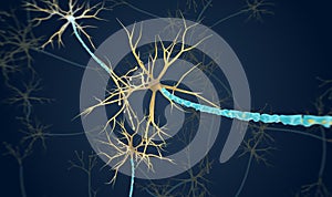 The Neuron with Degenerated Myelin