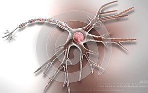 Neuron