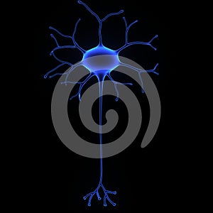Neuron