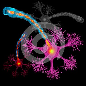 Neuron, nerve cell axon and myelin sheath substance that surrounds the axon detailed photo