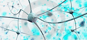 Neuron, neural network, nerve node,