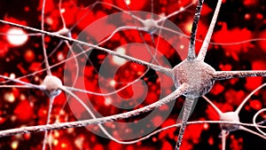 Neuron, neural network, nerve node,