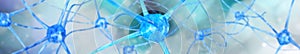 Neuron, neural network, nerve node,