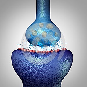 Neuron Synapse Concept