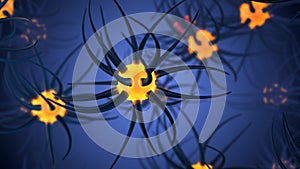 Neuronal activity in the brain