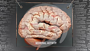 Neuronal activity in human brain