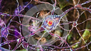 Neuronal intranuclear inclusions, 3D illustration photo