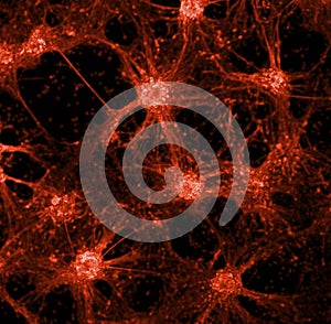 Neuronal network concept image