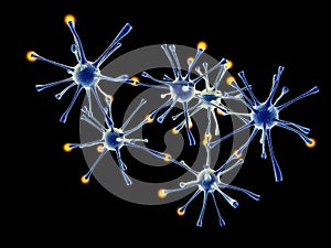 Neuronal Network photo