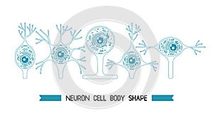 Neurone cell body