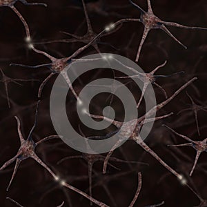 Neurons