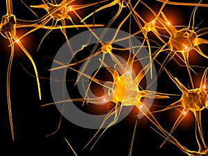 Imagen en alta resolución de los axones de las células nerviosas (neuronas)