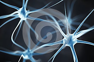 Neurons in the brain photo