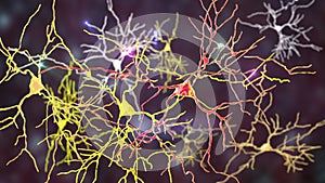 Neurons, brain cells located in Amygdala, 3D illustration photo