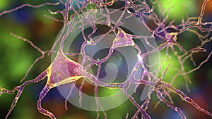 Neurons, brain cells located in Amygdala, 3D illustration photo