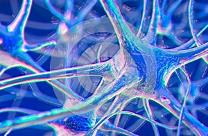 Neurons, brain cells, neural network, 3D illustration