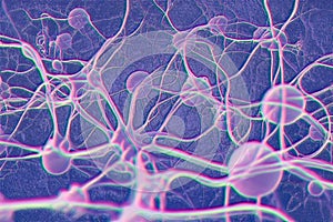 Neurons, brain cells, neural network, 3D illustration