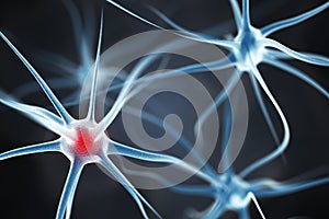 Neurons in the brain