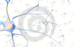 Neurons in the brain on white background with focus effect. 3d rendering