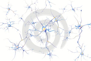 Neurons in the brain on white background with focus effect. 3d rendering