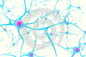 Neurons in the brain on white background with focus effect. 3d illustration photo