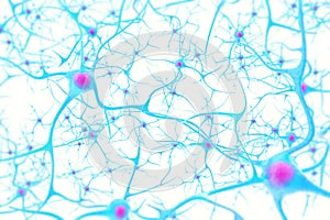 Neurons in the brain on white background with focus effect. 3d illustration photo