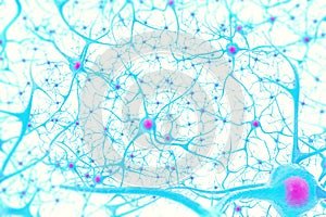 Neurons in the brain on white background with focus effect. 3d illustration photo