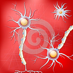 Neurons and glial cells in the brain on red background