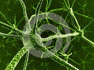 Neurons in green