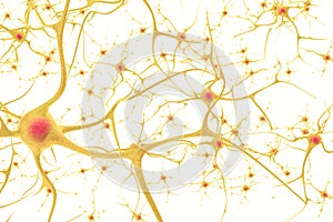 Neurons in the human nervous system with the effect of depth field. 3d illustration on a white background photo