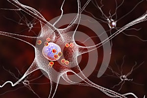 Neurons in Parkinson& x27;s disease