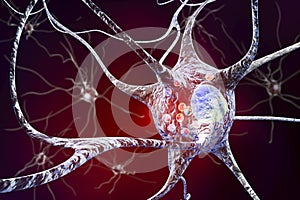 Neurons in Parkinson& x27;s disease