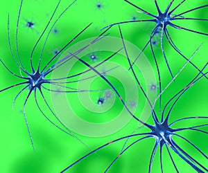 Neurons synapse brain functions