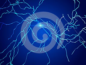 Neurons, synapses, neural network circuit of neurons, brain, degenerative diseases, Parkinson