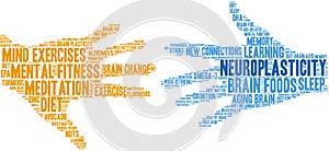 Neuroplasticity Word Cloud