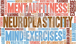 Neuroplasticity Word Cloud