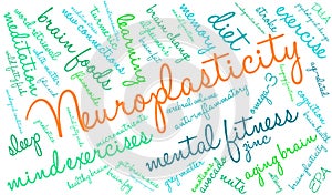 Neuroplasticity Word Cloud