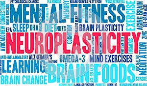 Neuroplasticity Word Cloud