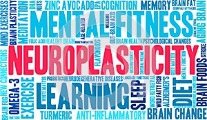 Neuroplasticity Word Cloud