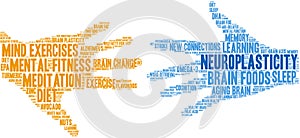 Neuroplasticity Word Cloud