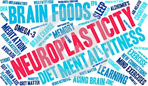 Neuroplasticity Word Cloud