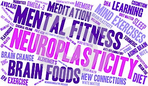 Neuroplasticity Word Cloud