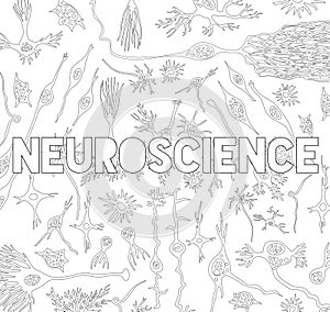 Neuroscience doodle of different brain cell types