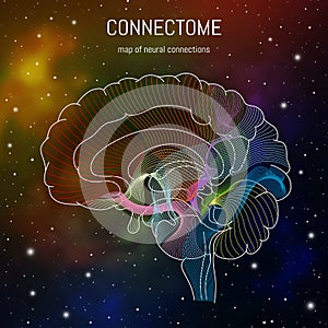 Neuroscience infographic on space background. Brain cells connectome concept.Neural network, neurons forming a complex map for